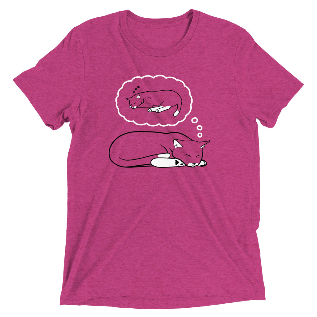 Living The Dream Men's Tri-Blend Tee