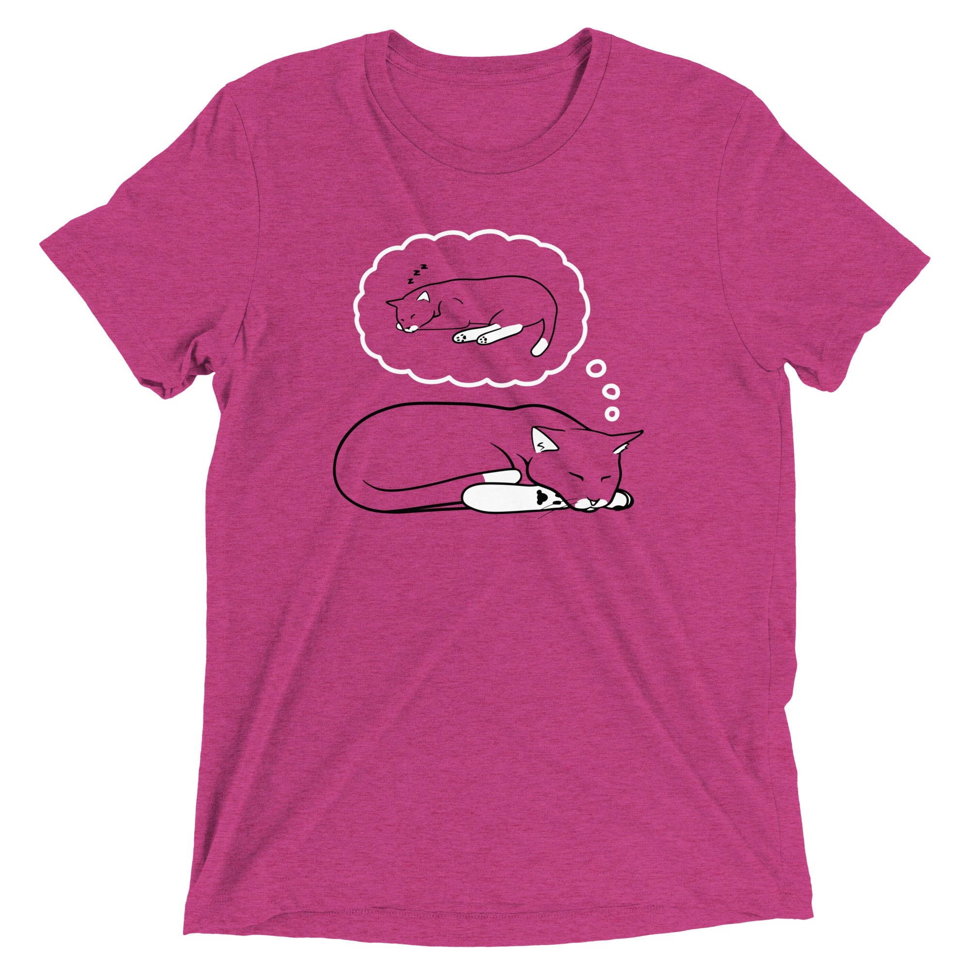 Living The Dream Men's Tri-Blend Tee