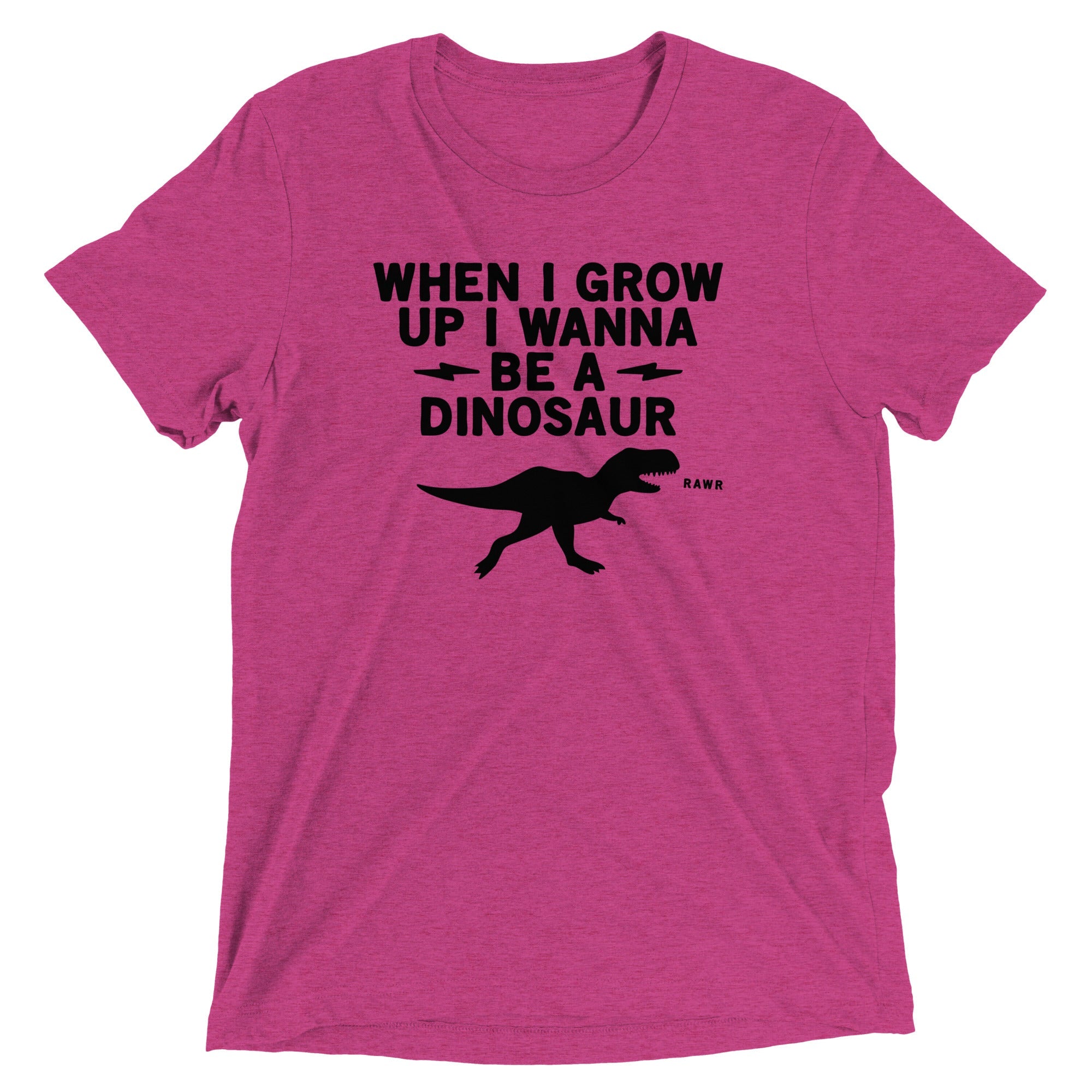 When I Grow Up I Wanna Be A Dinosaur Men's Tri-Blend Tee