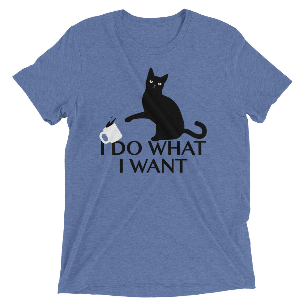 I Do What I Want Men's Tri-Blend Tee