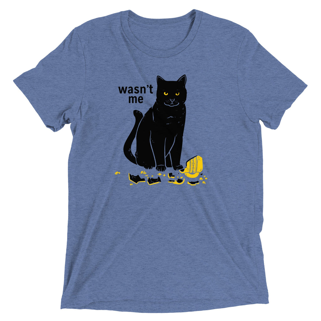 Wasn't Me Men's Tri-Blend Tee
