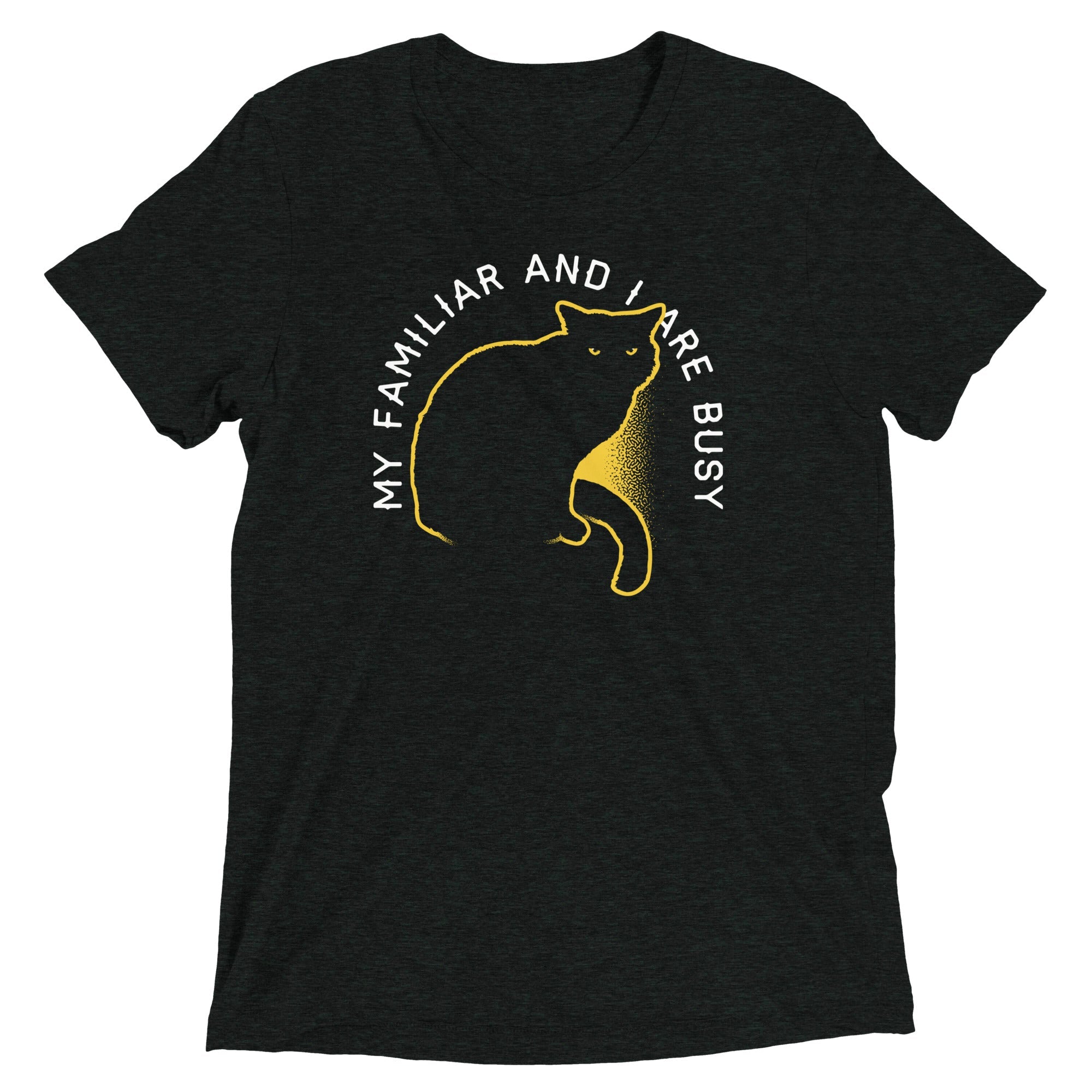 My Familiar And I Are Busy Men's Tri-Blend Tee