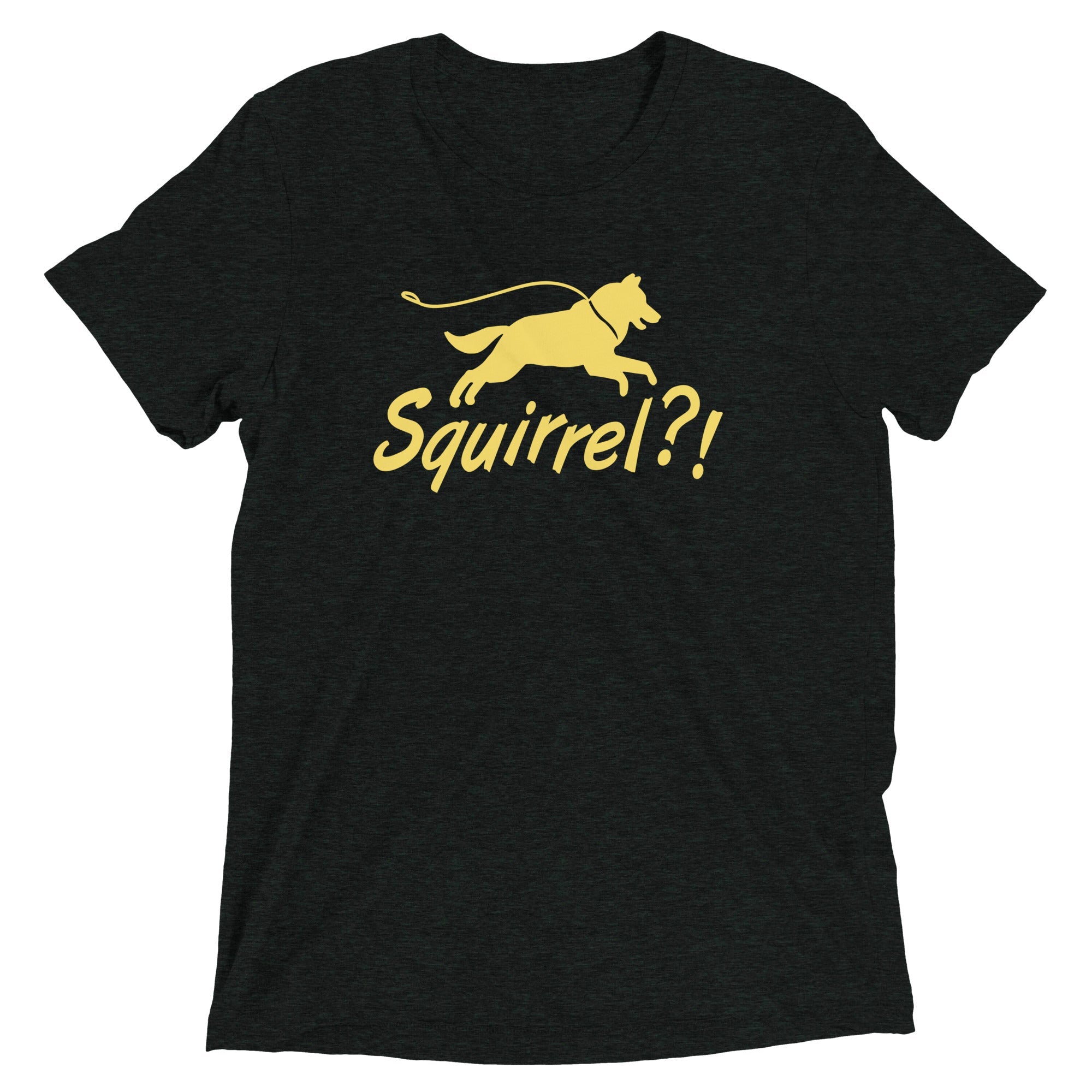 Squirrel?! Men's Tri-Blend Tee