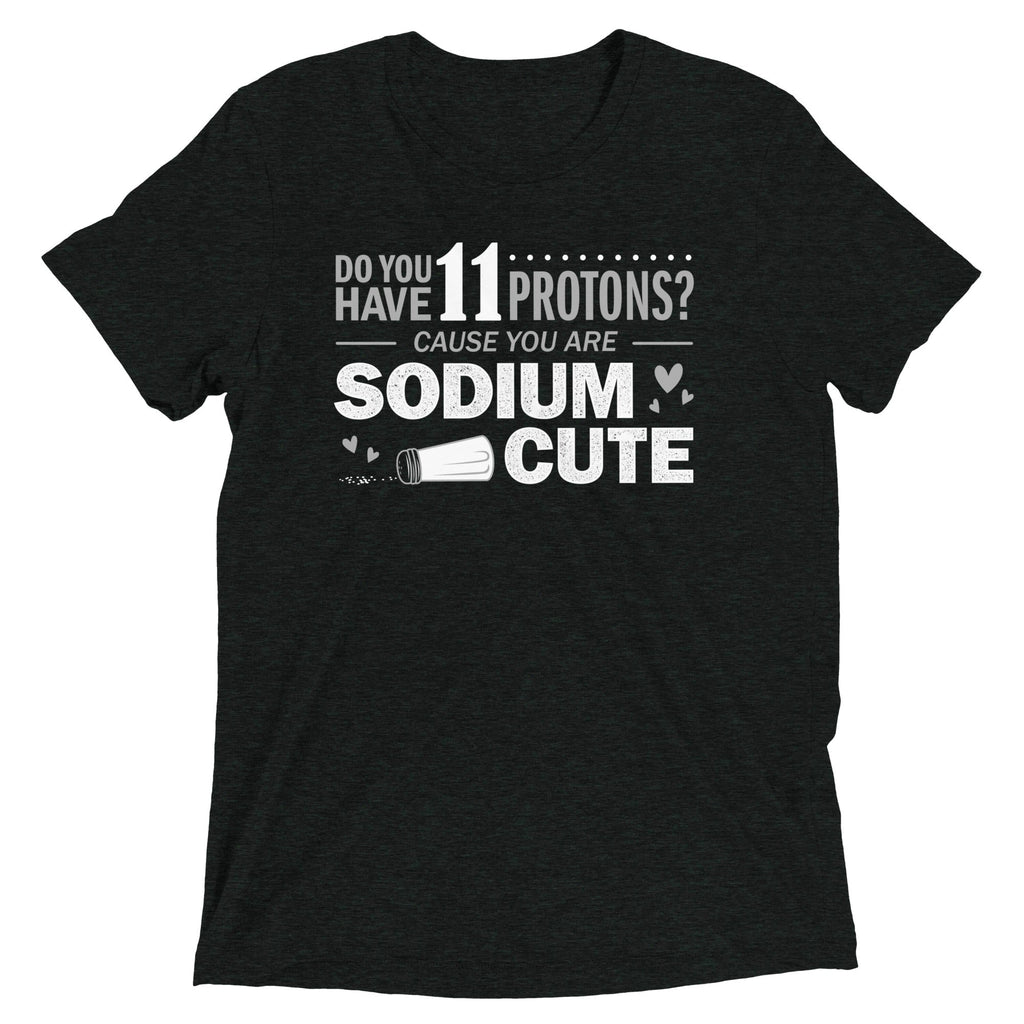 Do You Have 11 Protons? Men's Tri-Blend Tee