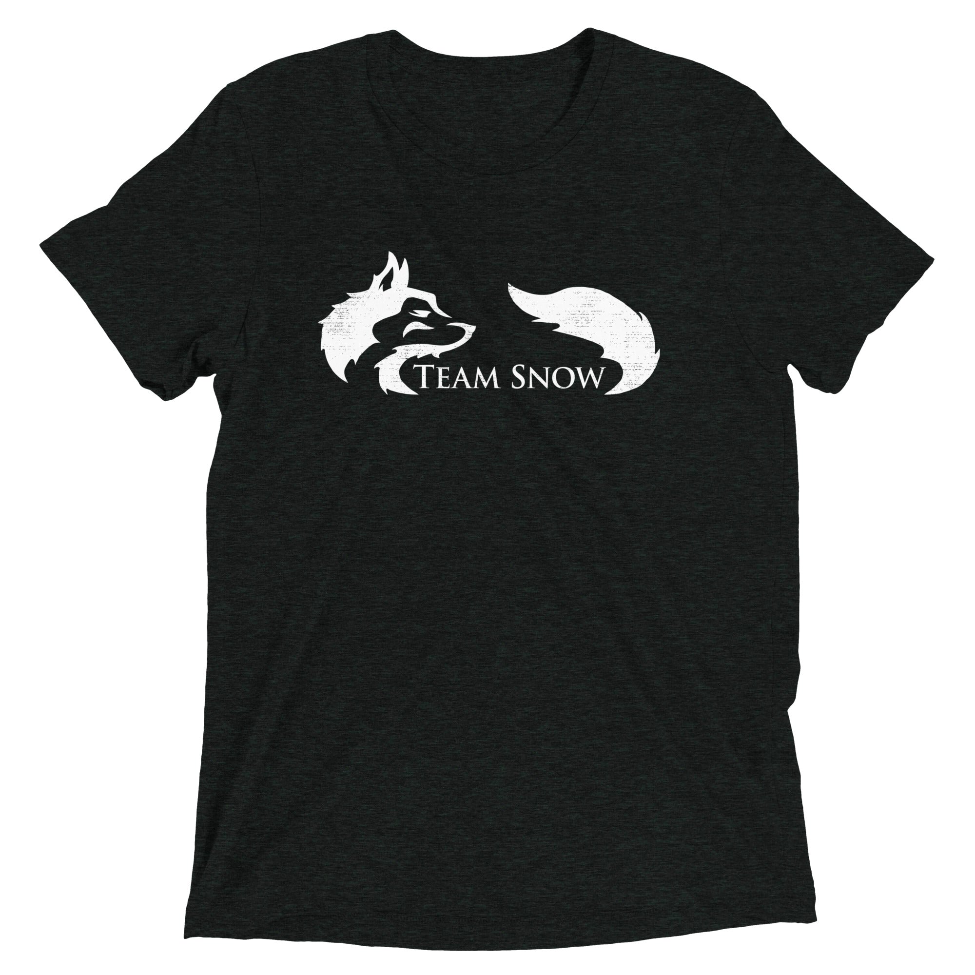 Team Snow Men's Tri-Blend Tee