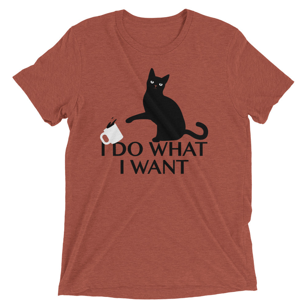 I Do What I Want Men's Tri-Blend Tee