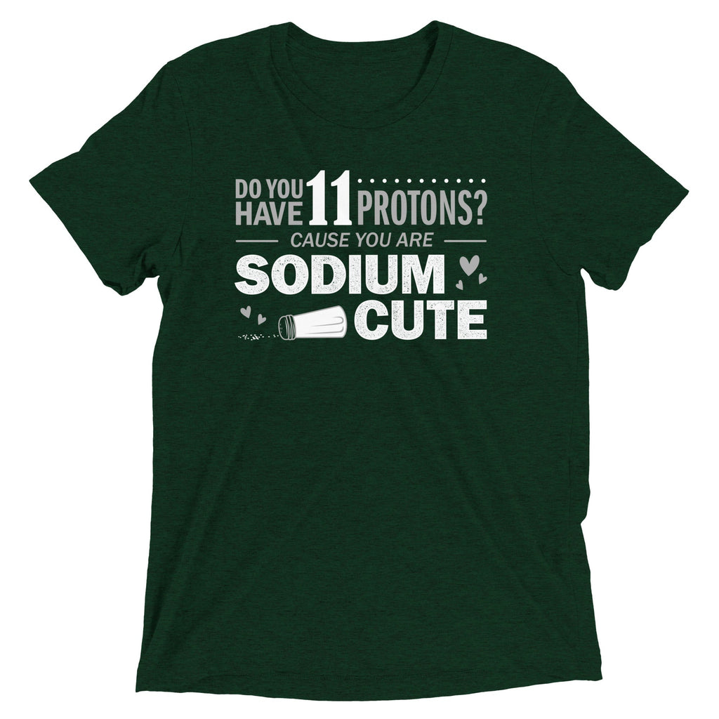 Do You Have 11 Protons? Men's Tri-Blend Tee