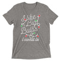 I Like Big Bulbs & I Cannot Lie Men's Tri-Blend Tee