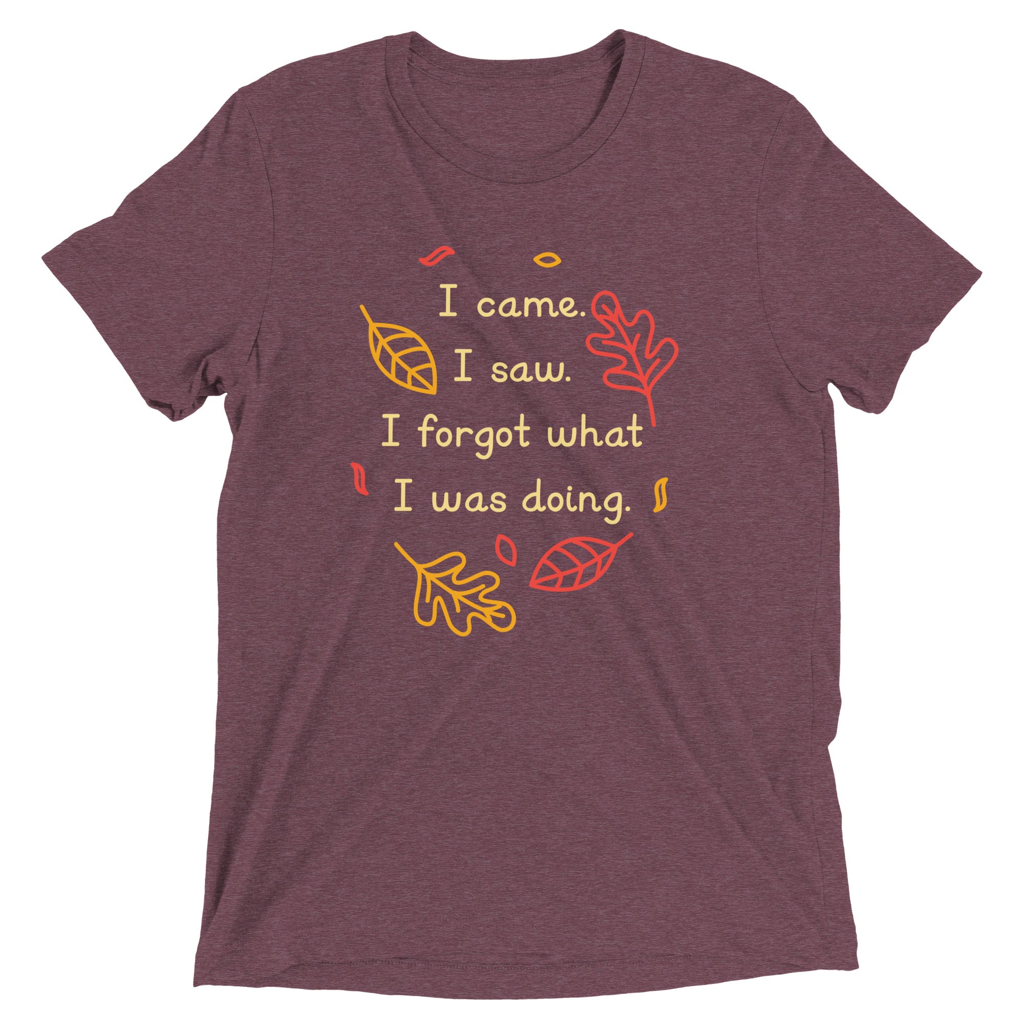 I Came. I Saw. I Forgot What I Was Doing. Men's Tri-Blend Tee
