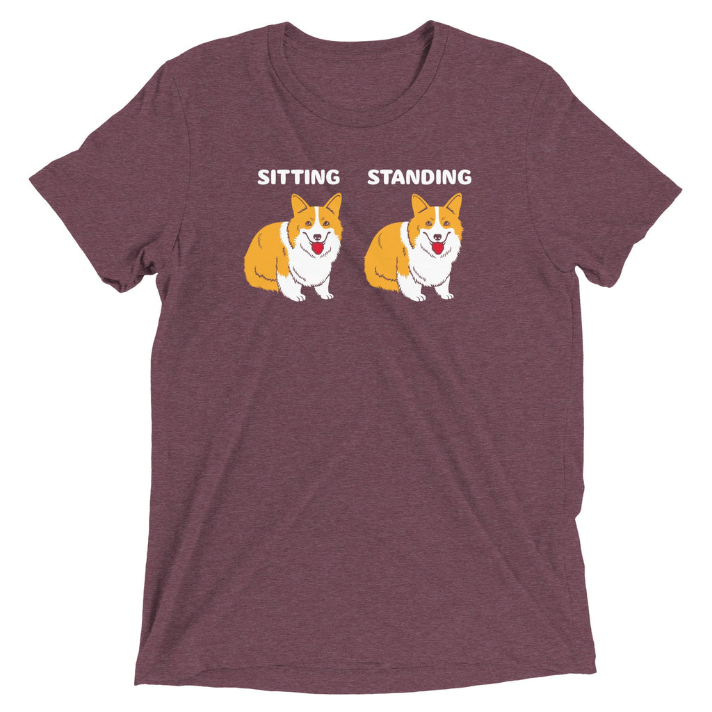 Corgi Sitting And Standing Men's Tri-Blend Tee