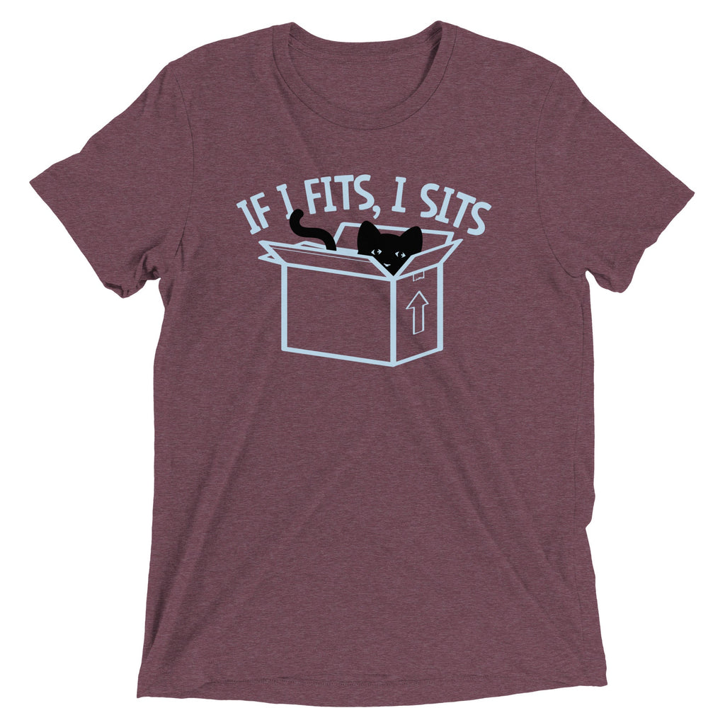 If I Fits, I Sits Men's Tri-Blend Tee