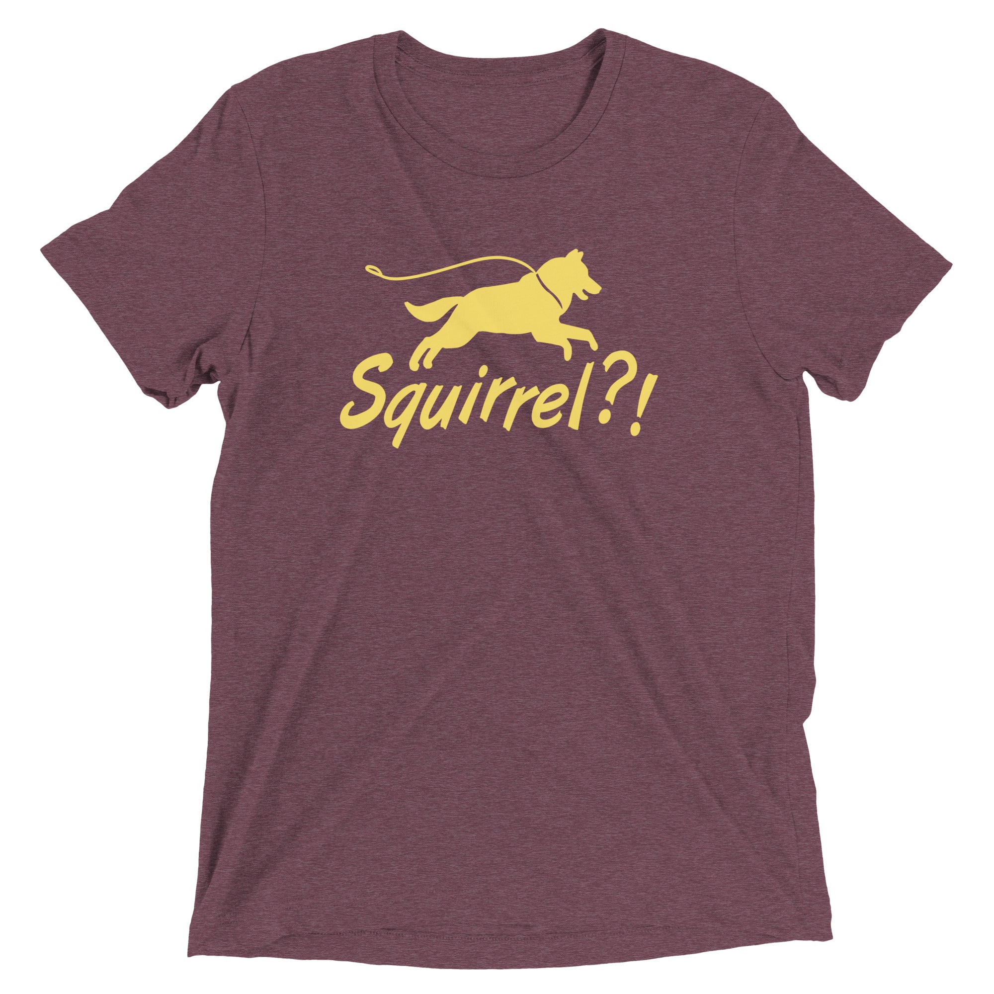 Squirrel?! Men's Tri-Blend Tee