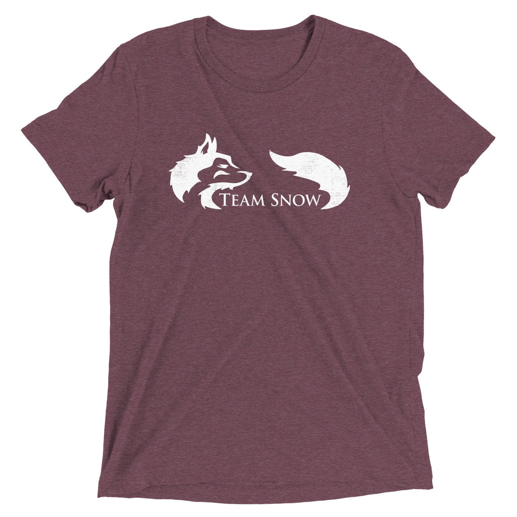 Team Snow Men's Tri-Blend Tee