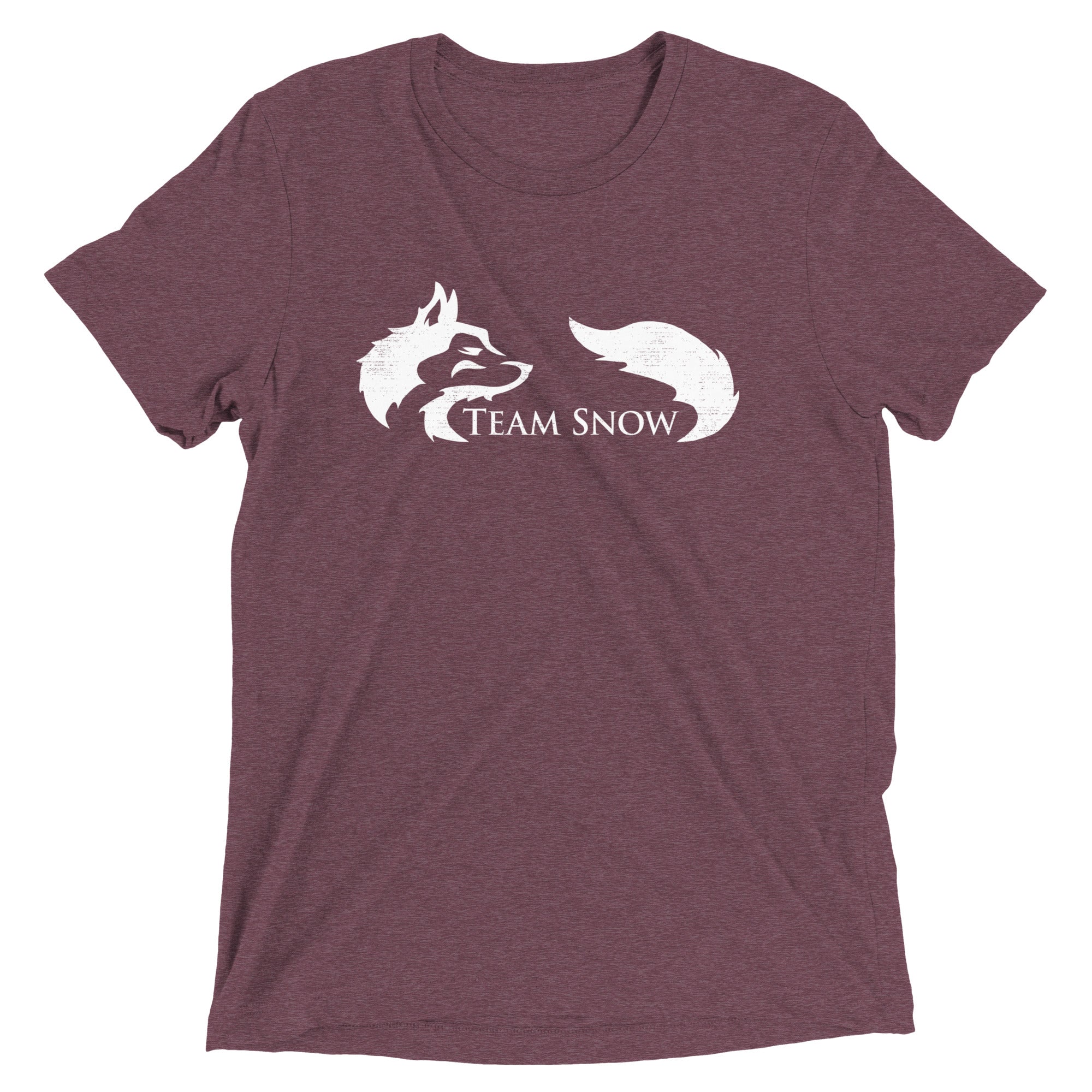 Team Snow Men's Tri-Blend Tee