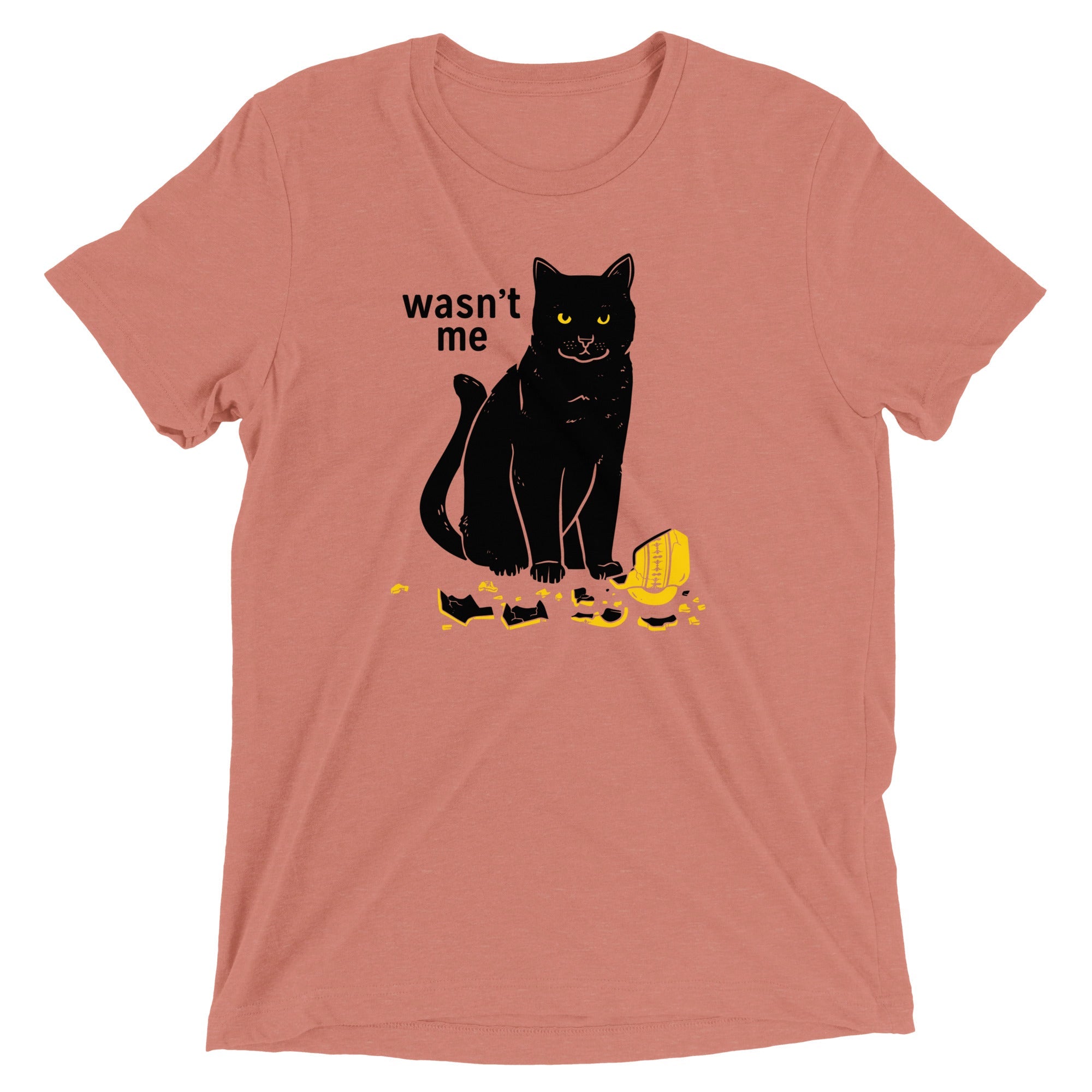 Wasn't Me Men's Tri-Blend Tee