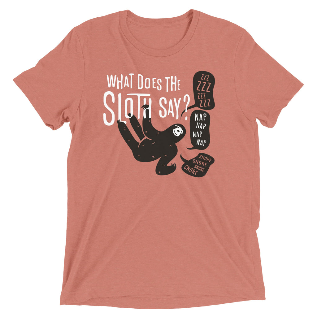 What Does The Sloth Say? Men's Tri-Blend Tee