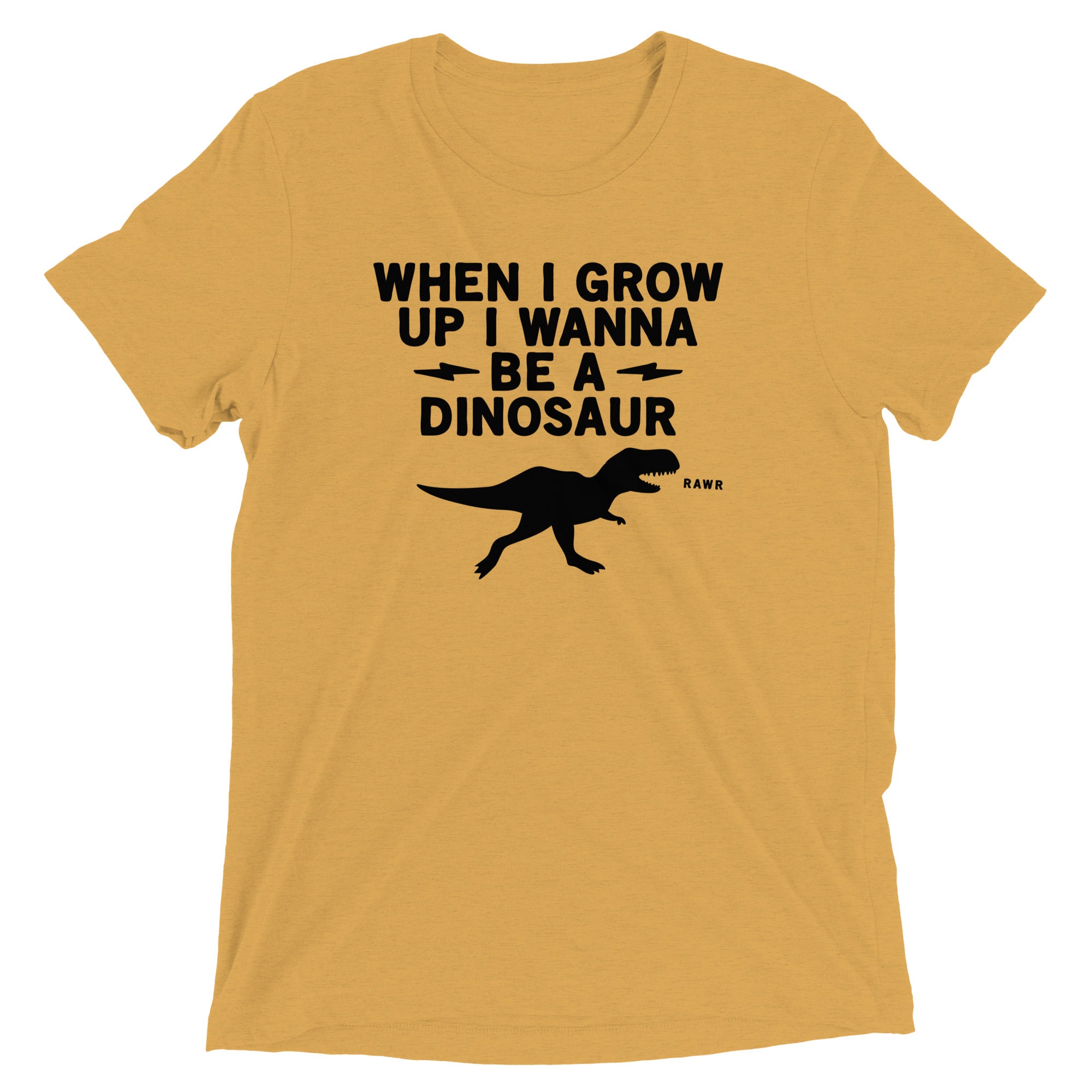 When I Grow Up I Wanna Be A Dinosaur Men's Tri-Blend Tee