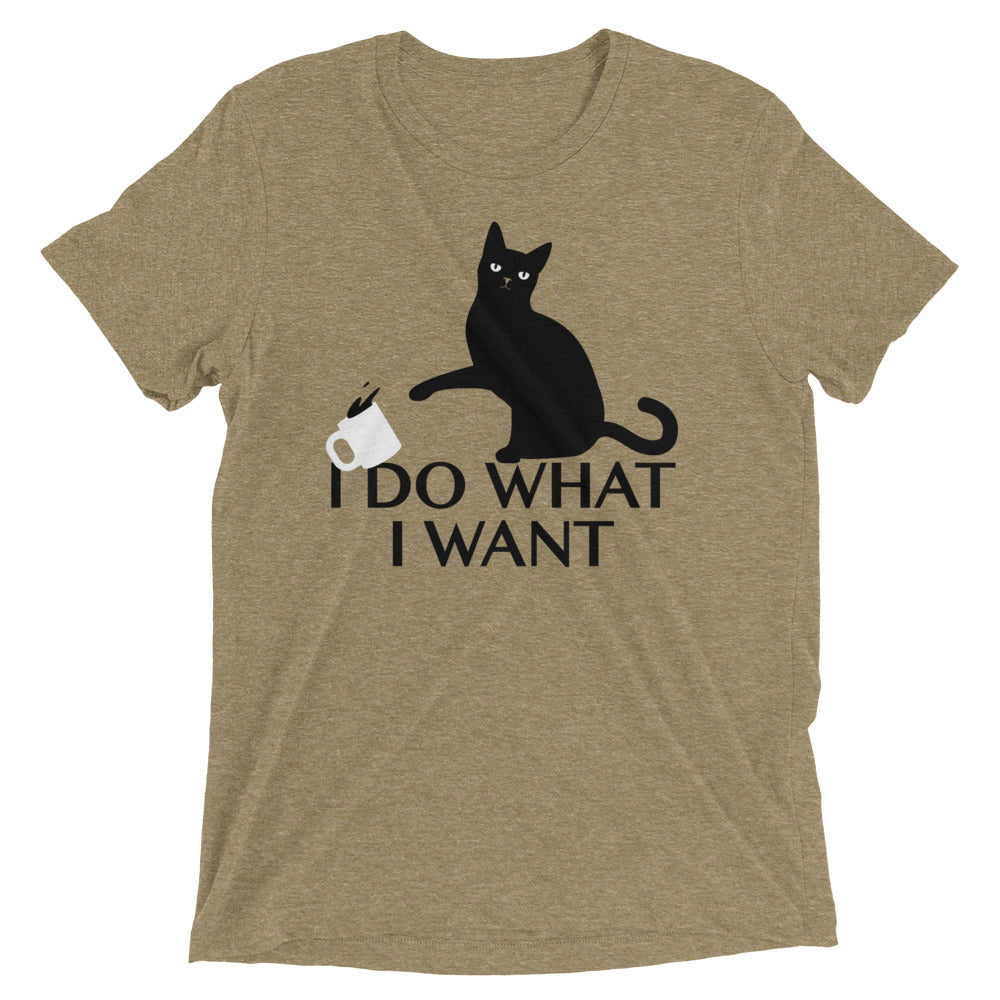 I Do What I Want Men's Tri-Blend Tee