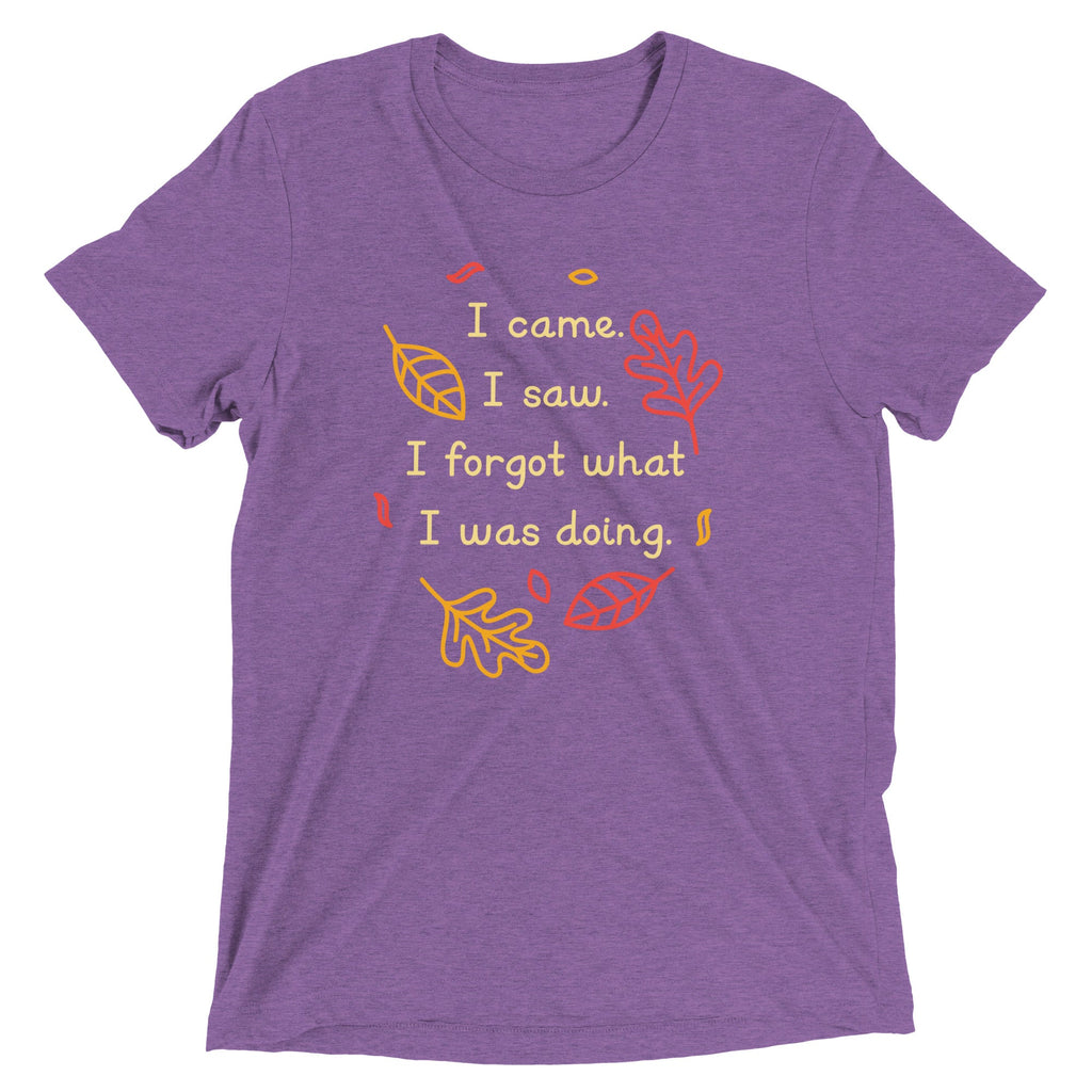 I Came. I Saw. I Forgot What I Was Doing. Men's Tri-Blend Tee