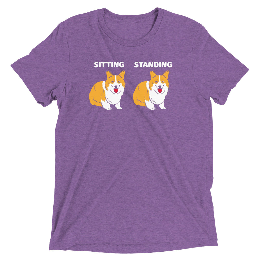 Corgi Sitting And Standing Men's Tri-Blend Tee