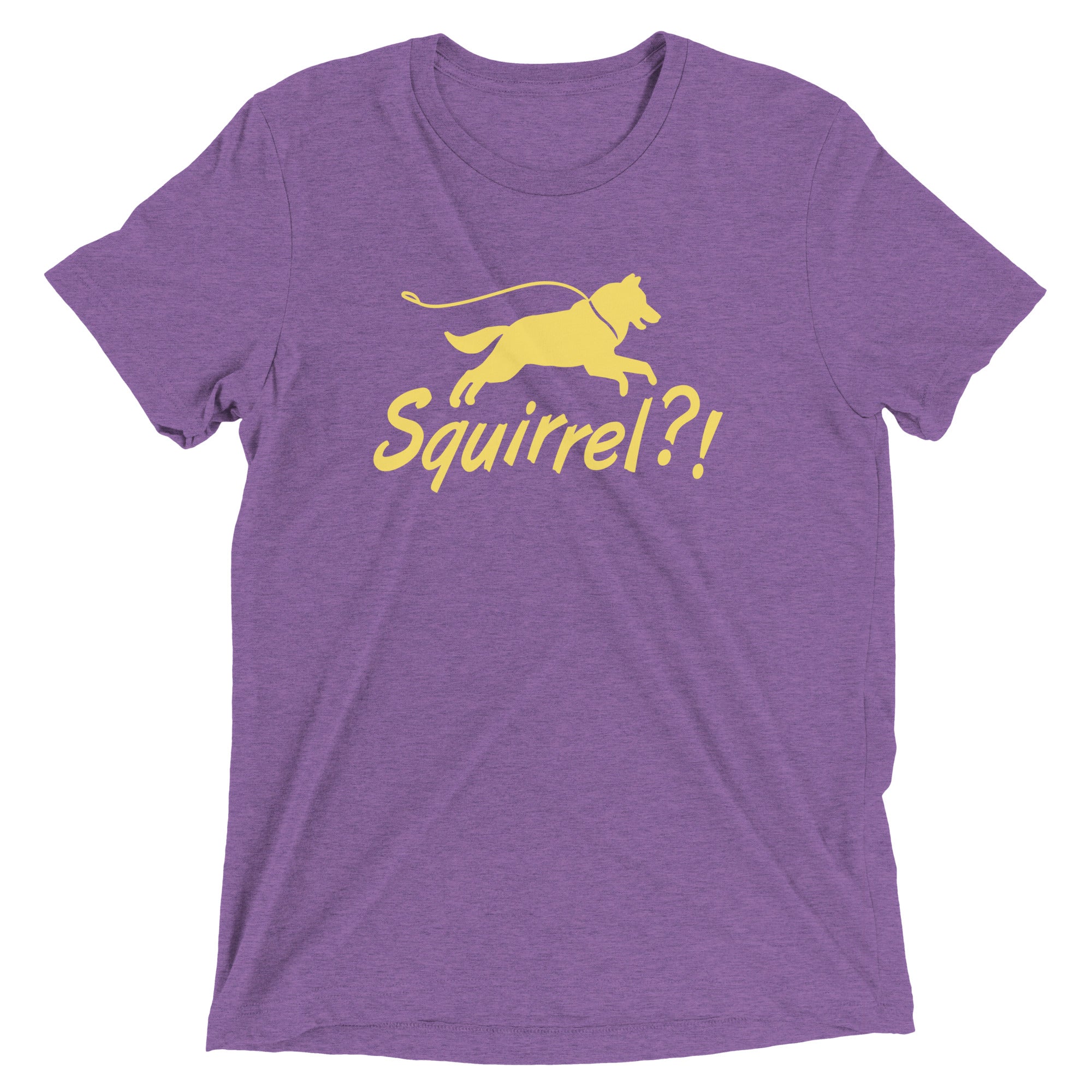 Squirrel?! Men's Tri-Blend Tee