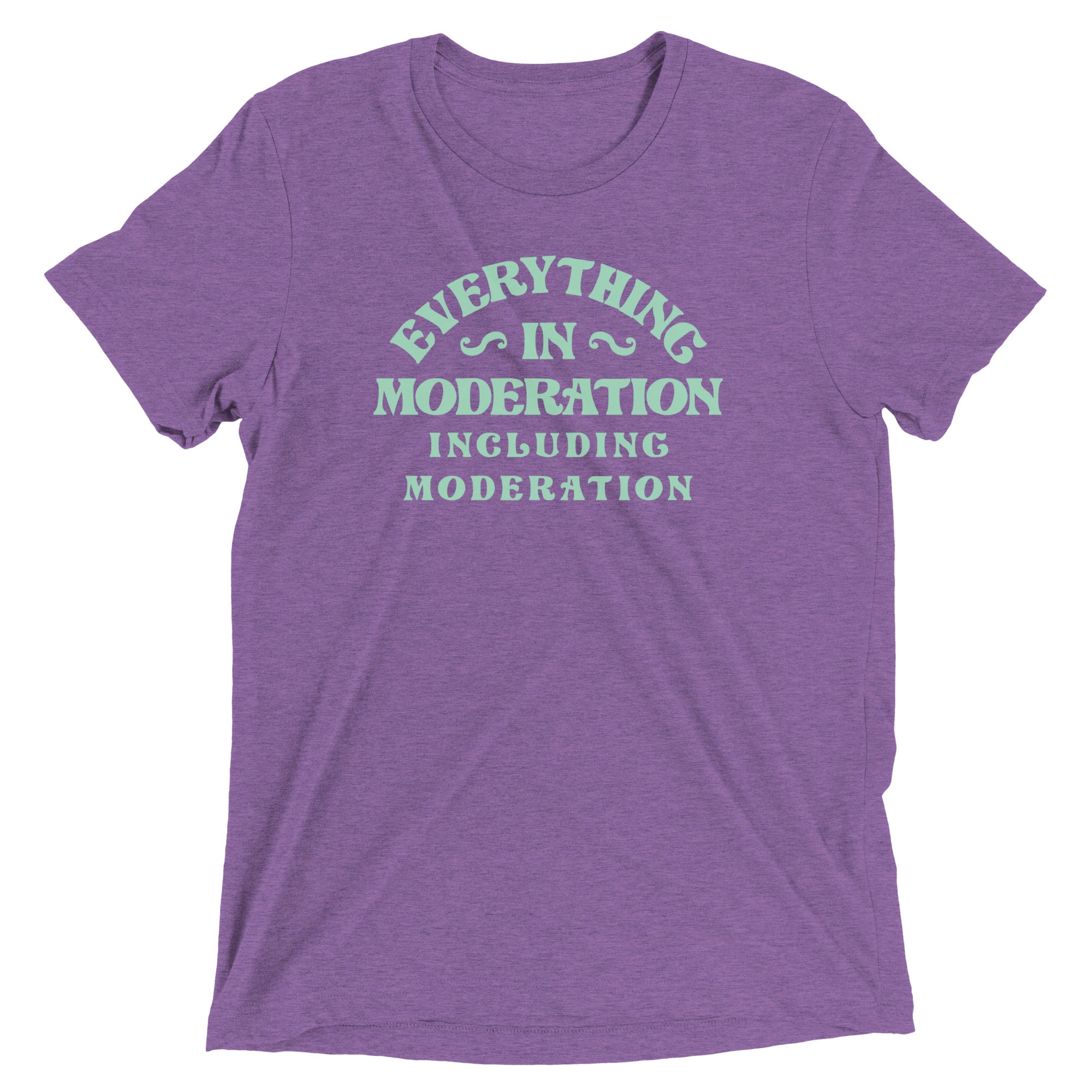 Everything In Moderation Including Moderation Men's Tri-Blend Tee