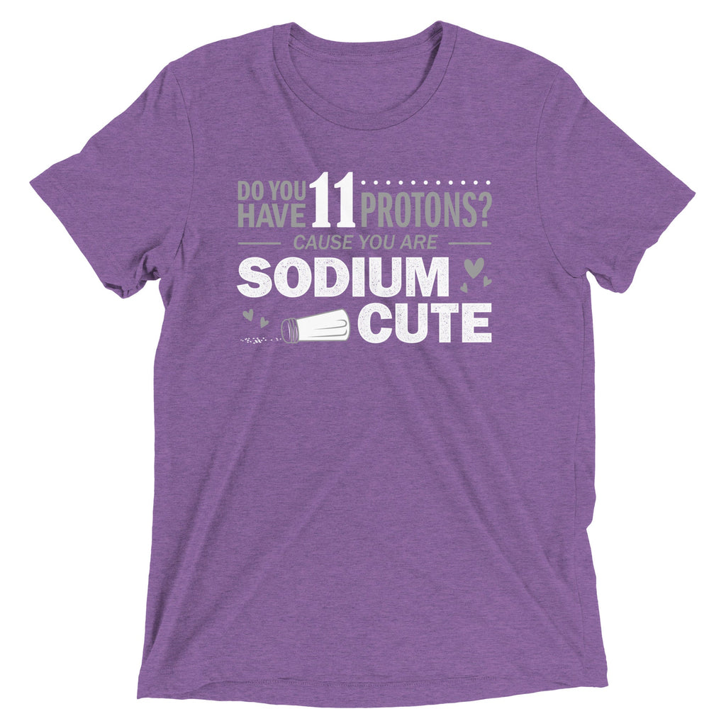 Do You Have 11 Protons? Men's Tri-Blend Tee