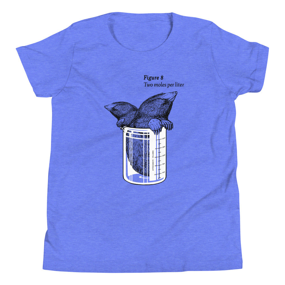 Two Moles Per Liter Kid's Youth Tee