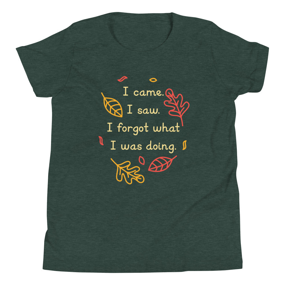 I Came. I Saw. I Forgot What I Was Doing. Kid's Youth Tee