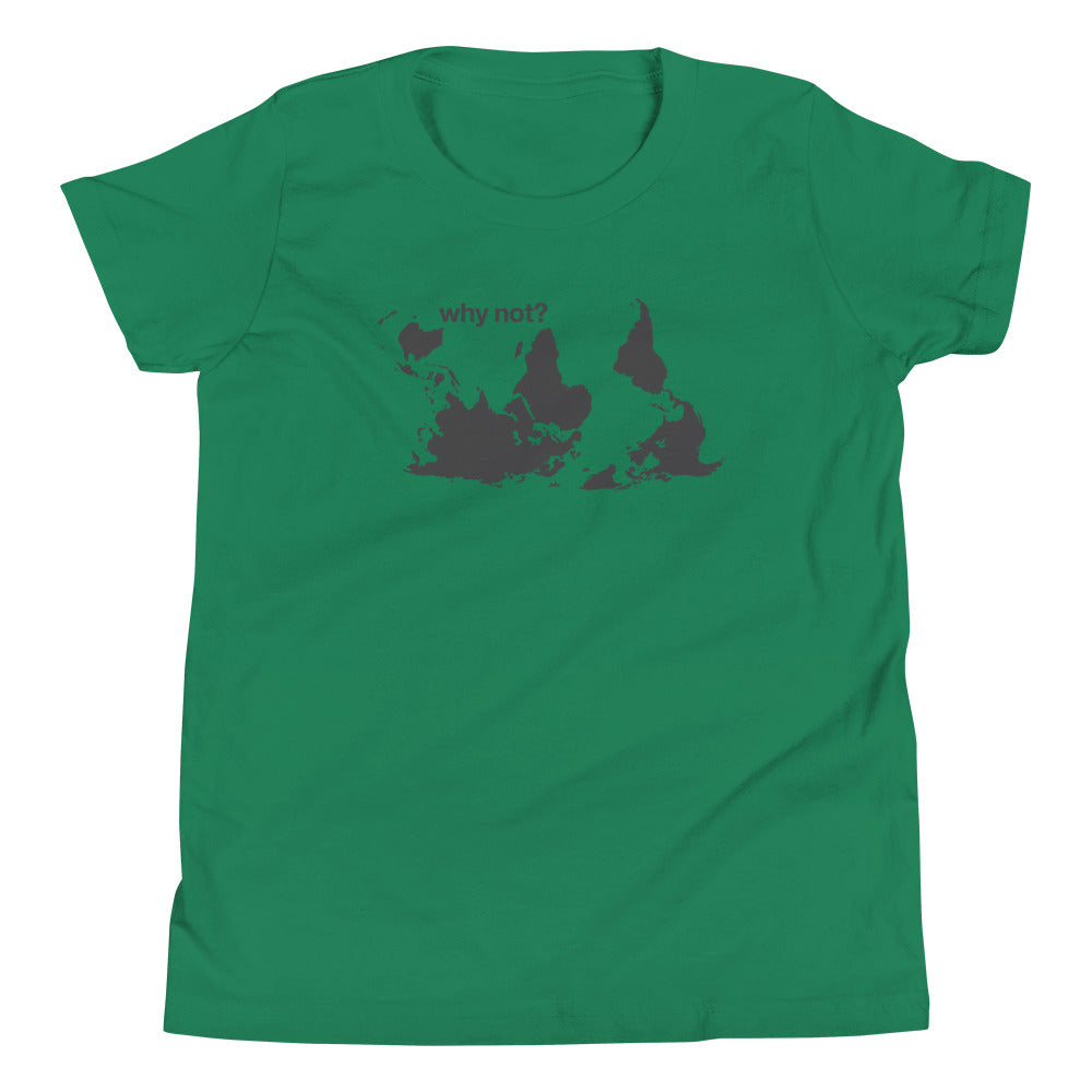 Why Not? Kid's Youth Tee