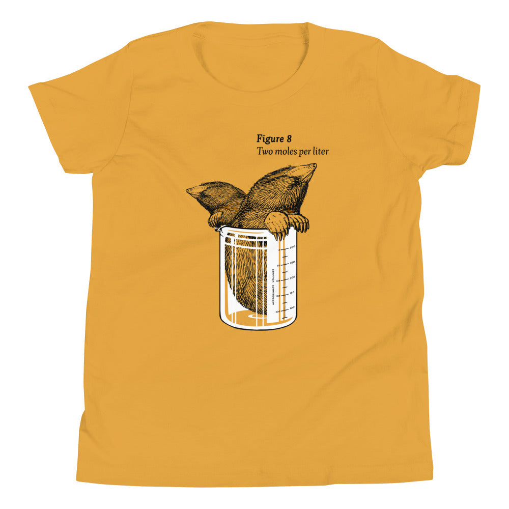 Two Moles Per Liter Kid's Youth Tee