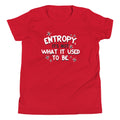 Entropy, It's Not What It Used To Be Kid's Youth Tee
