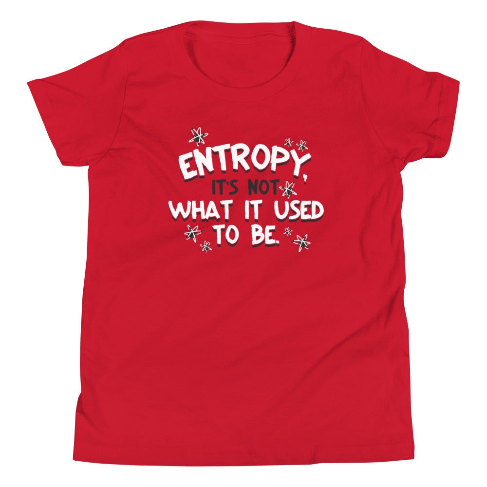 Entropy, It's Not What It Used To Be Kid's Youth Tee